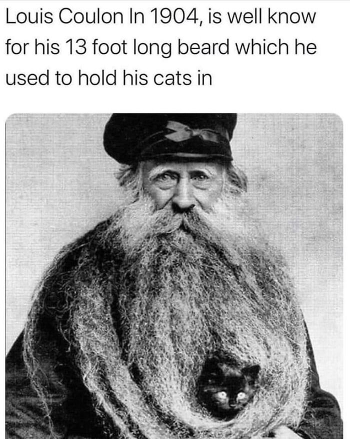 This Cat-Loving Beard