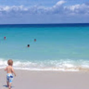 katiemassoudian avatar