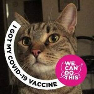 alexbgraphics avatar