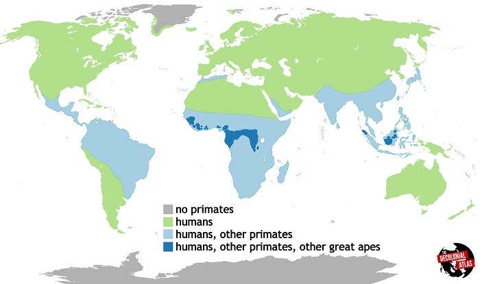 Distribution Of The World's Primates