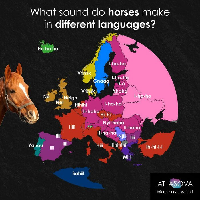 What Does A Horse Say In Your Language?