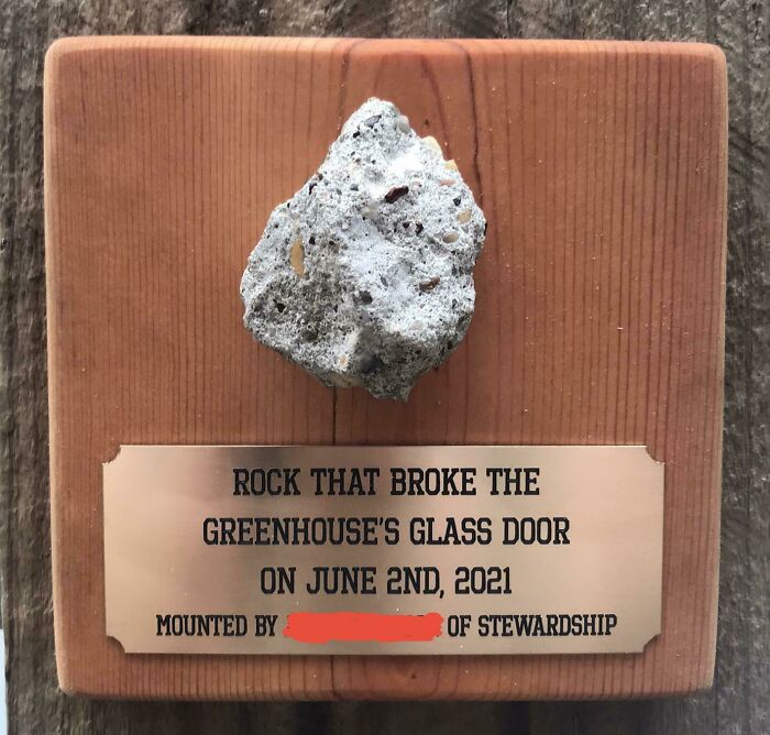 I Work At A Nature Preserve. A Lawnmower Launched A Rock That Shattered The Greenhouse’s Glass Door. So I Mounted It On A Plaque In The Greenhouse
