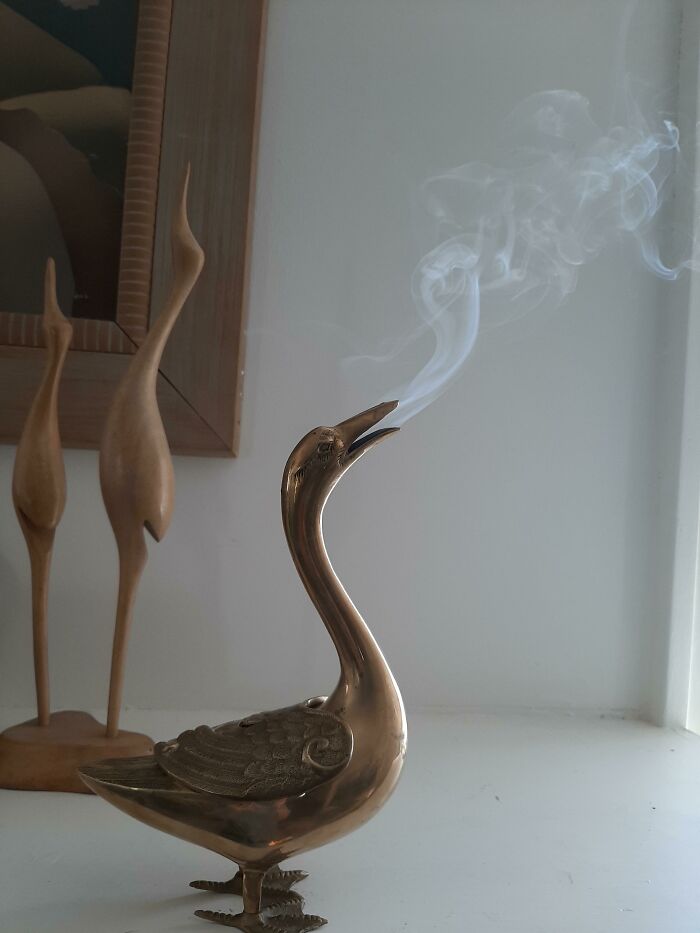 My Smoking Hot Duck I Found Today. I Did Not Even Know It Was An Incense Burner, I Just Loved Him