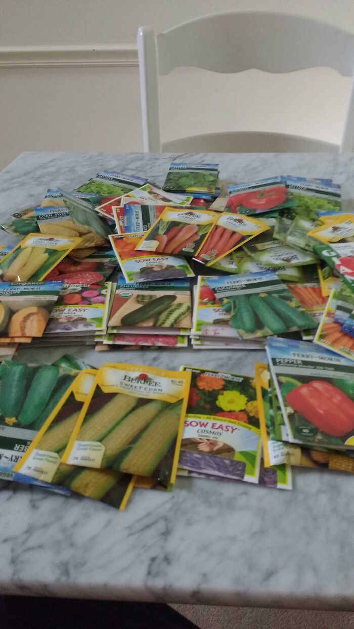 Lowe's Employee Here: My Manager Told Me To Throw Away Bags Of Seeds Because We Needed Floor Space For Other Products. I Asked For A Deal And Got Each Back For 3-5 Cents. Regular Price Is $1.09-$2.49 269 Bags For Retail Price Of $646.59. I Payed $5.40