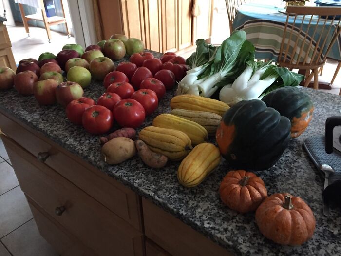 I Asked My Local Farm Stand If They Had Any Damaged Produce They Couldn't Sell. They Gave Me All Of This For Free!