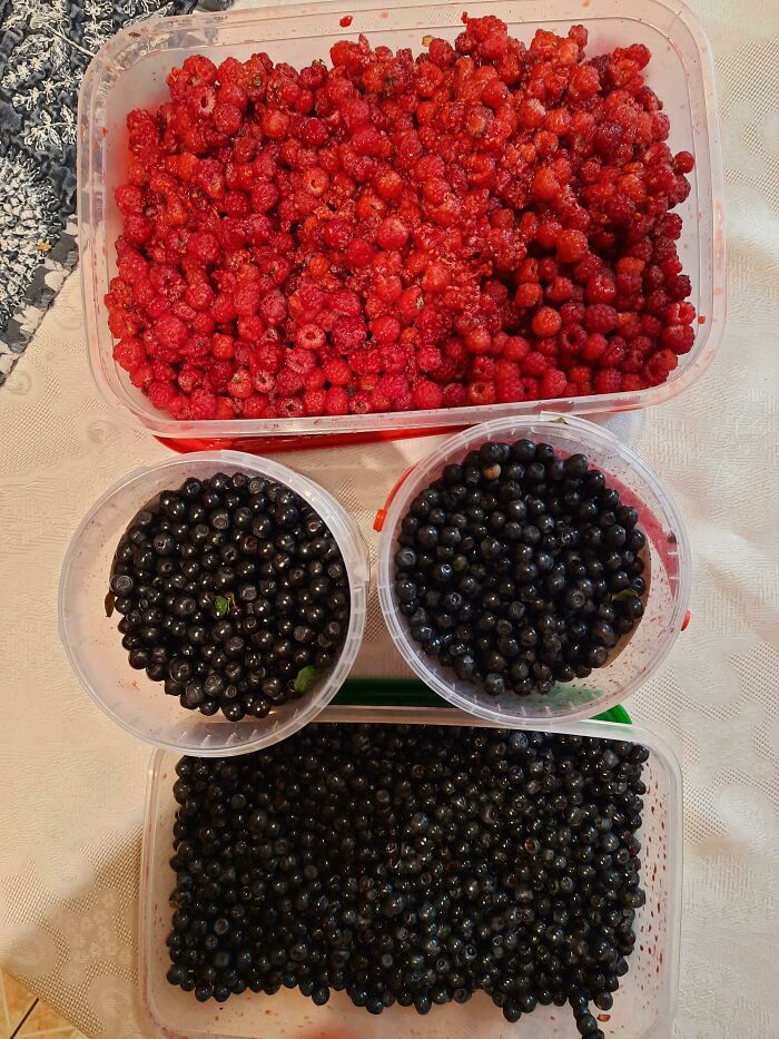 My Husband Loves Berry Jam, But Berries Are Quite Expensive This Year, So I Decided To Forage Instead Of Buying, And Picked Over 4kg. Of Them