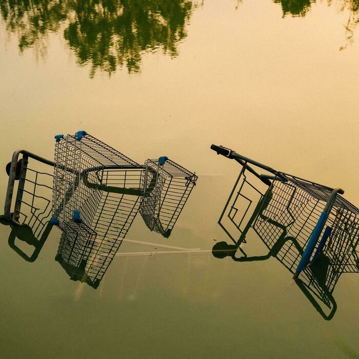 Two Carts I Found In My Local Swamp Awhile Back. The Reflections Were Weird