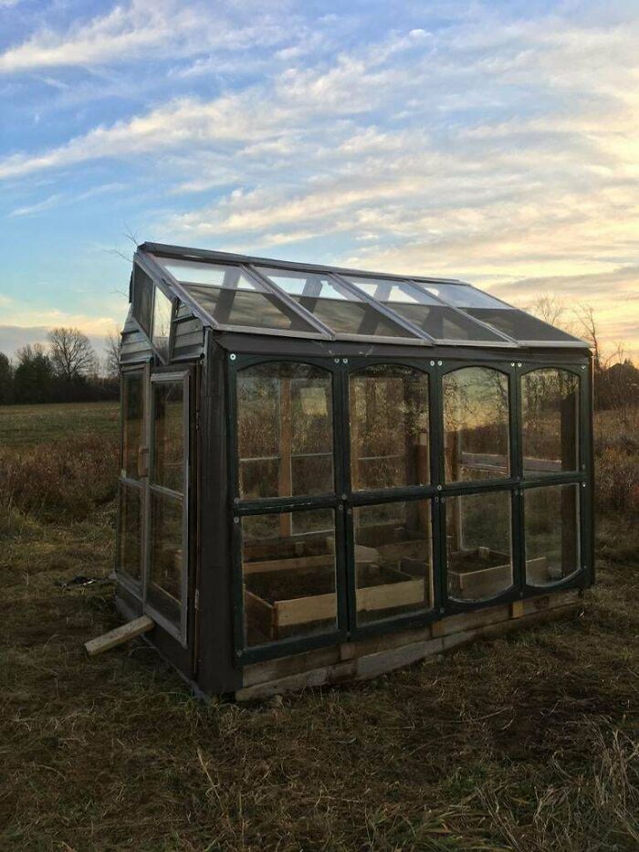 My Dad Built A Green House Out Of Piles Of Random Stuff He’s Been Saving In The “You Never Know When It Will Come In Useful” Pile. Old Windows, Bits Of Flooring, Recycled Straightened Nails, And Off Cuts Of Steel Roofing. Only Had To Spend $40 On 8 Large Bolts. So Proud Of Him!