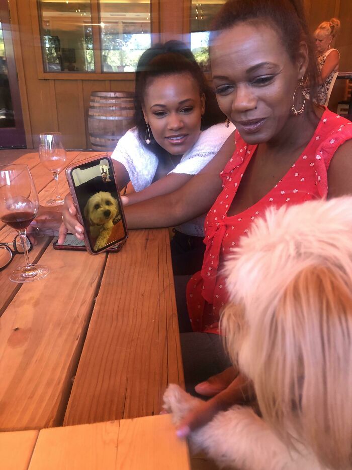 Sat Next To These Ladies Who Insisted Our Dog Facetime With Theirs