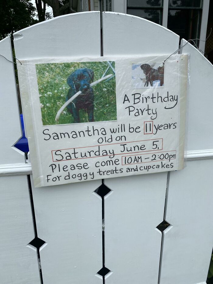 Un vecino organizando una fiesta de cumpleaños para su perro