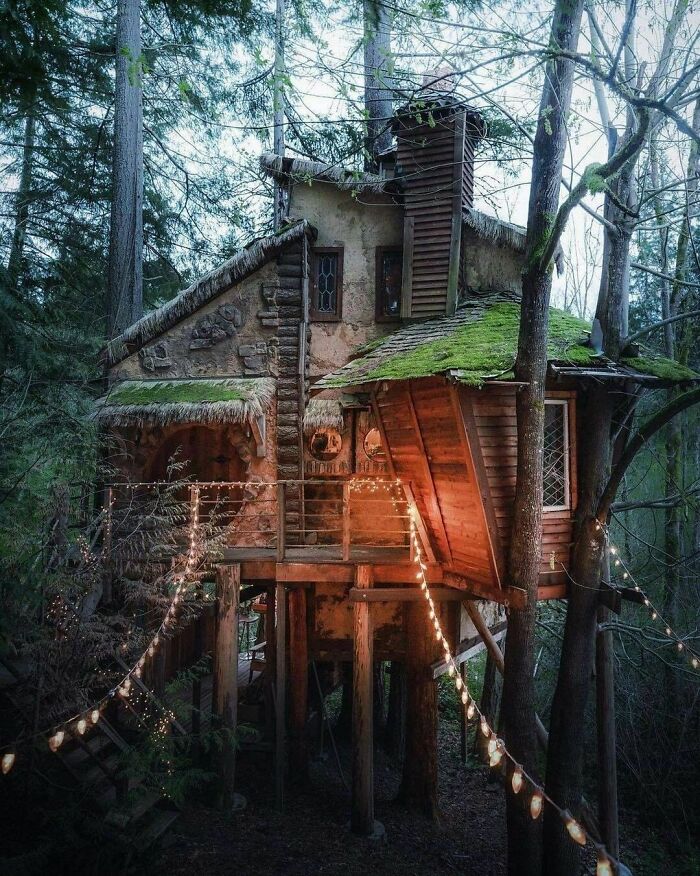 Una casa en el árbol que parece de brujas en el noroeste del Pacífico