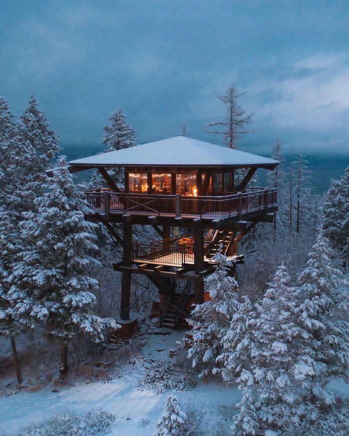 Cabaña de invierno en un árbol