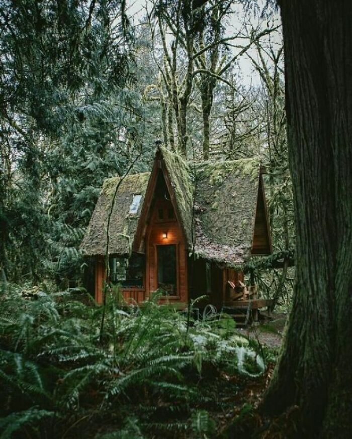 Pequeña cabaña de la bruja en el bosque encantado