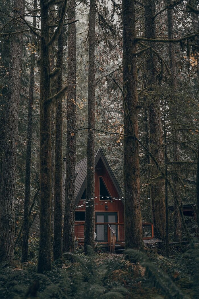 Pequeña cabaña en el bosque, en algún lugar de Canadá
