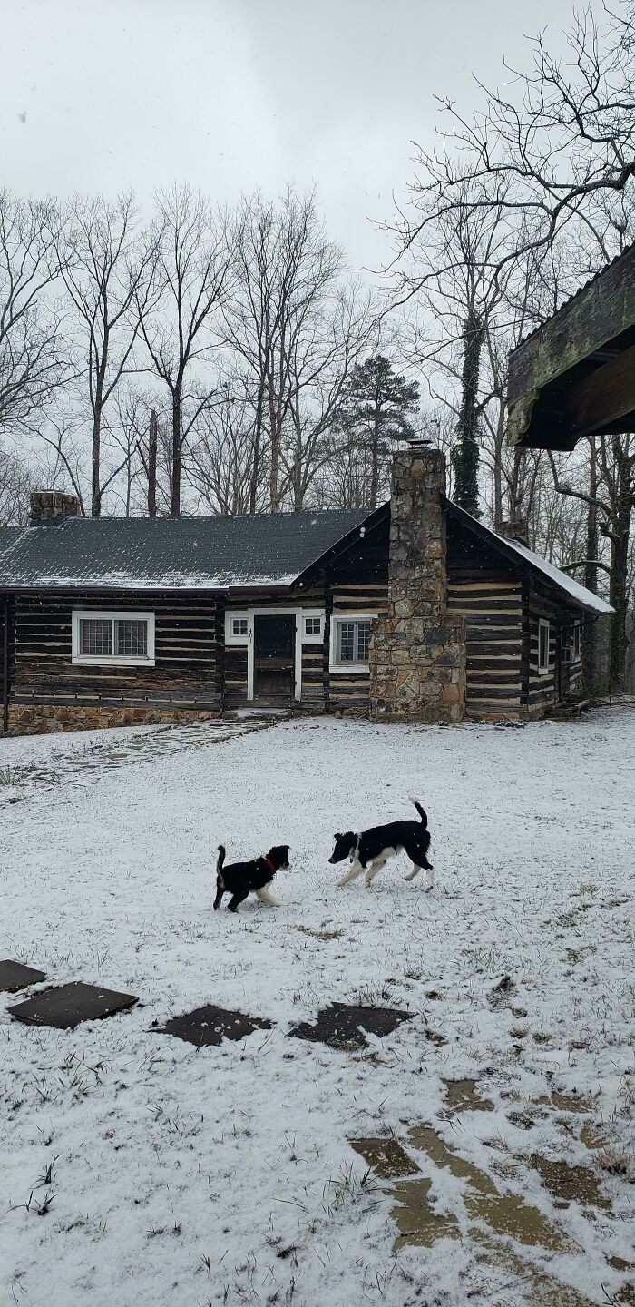 Finally All Moved In And Settled In Our 100 Year Old Cabin On Top Of A Mountain In Tennessee