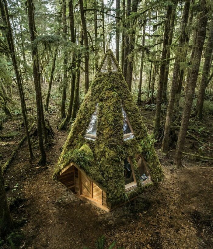 Cabaña con forma de diamante en un bosque tropical del noroeste del Pacífico, diseñada por Jacob Witzling y Sara Underwood