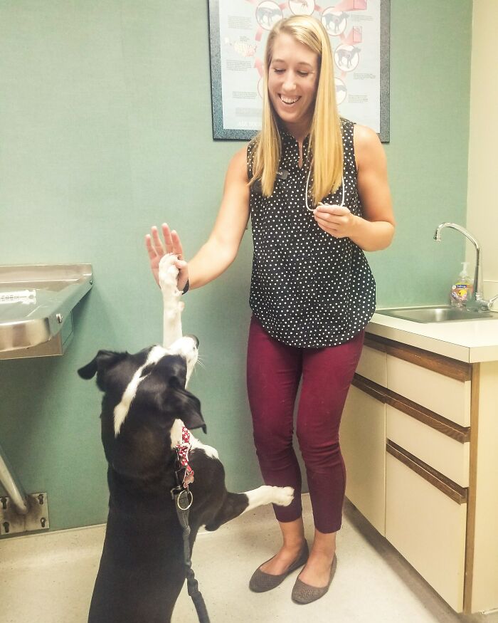 Pupper Gets Shots At The Vet, Then Does This