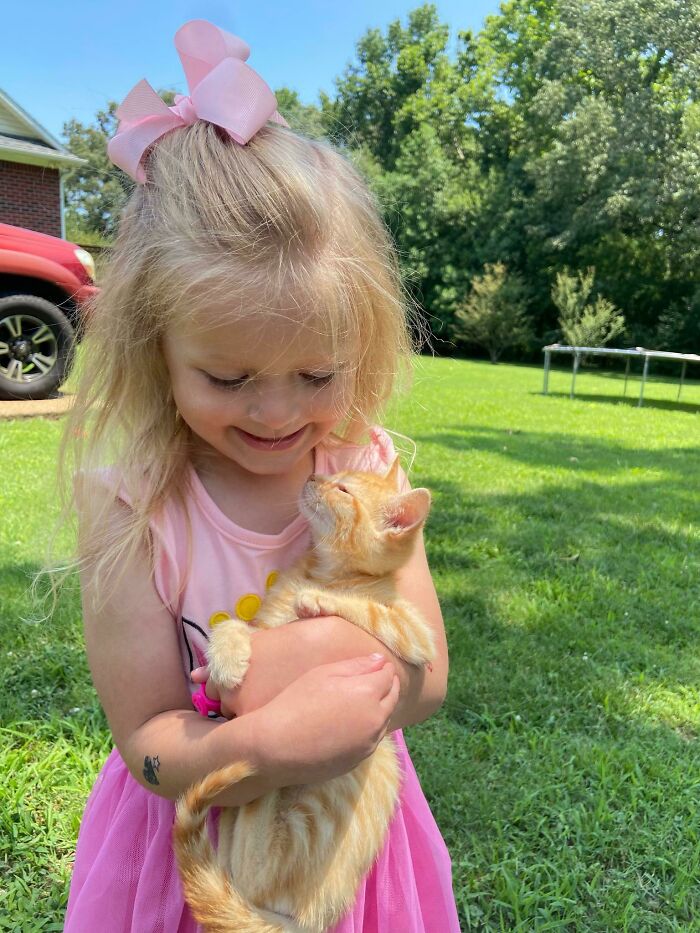 Somebody Got A Birthday Kitten, With A Side Of Pure Love