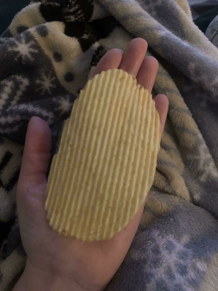 Found A Chip Almost As Big As My Hand