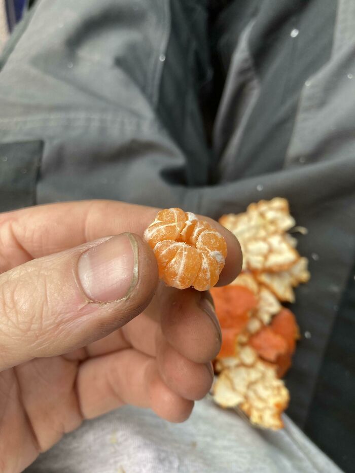 Esta mandarina bebé se escondía en una mandarina más grande
