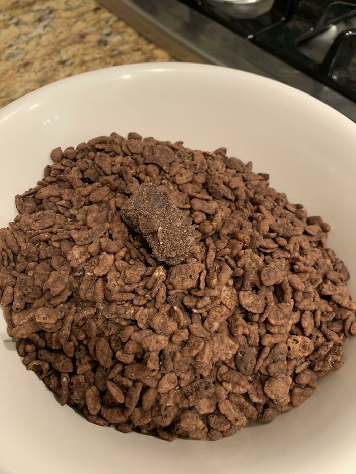 My Bowl Of Coco Pebbles Included A Coco Boulder