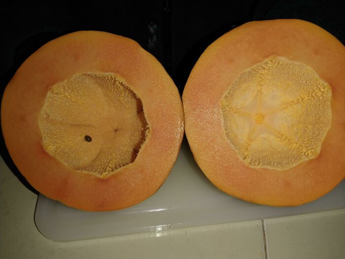 This Papaya That Ended Up Having One Seed Inside