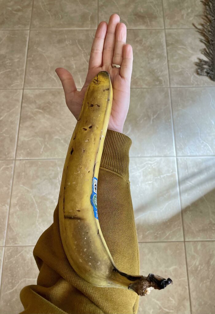 Este plátano es tan grande como todo mi antebrazo