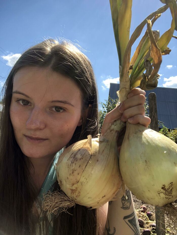 I’ve Grown Onions, 600 Grams Each