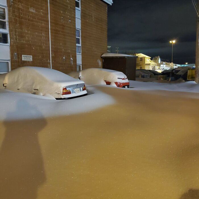 My Boss Told Me To Atleaste Try Shoveling Out And Come In Today. Saskatoon Sk, Canada (Red Car Is Mine)