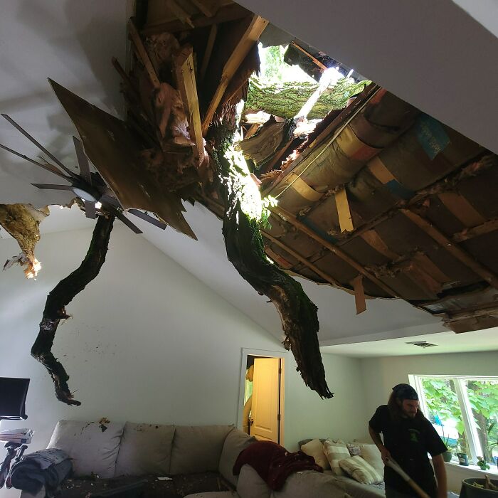 Yesterday Our Neighbor's 80' Locust Tree Gave Us Some Live Edge Sky Lights, A Great View Of The Stars, And That Rainforest Cafe Atmosphere That Our Living Room Had Just Always Been Missing. No Injuries, Dogs Pissed The Bed, Life Goes On