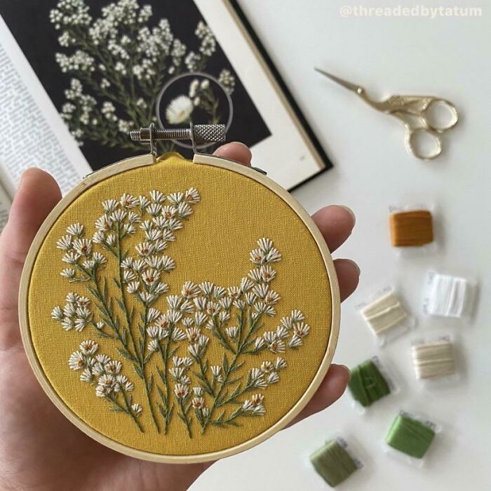 Slowly Embroidering My Way Through A Book Full Of Botanical Illustrations! This Is My Latest Project - Heath Aster