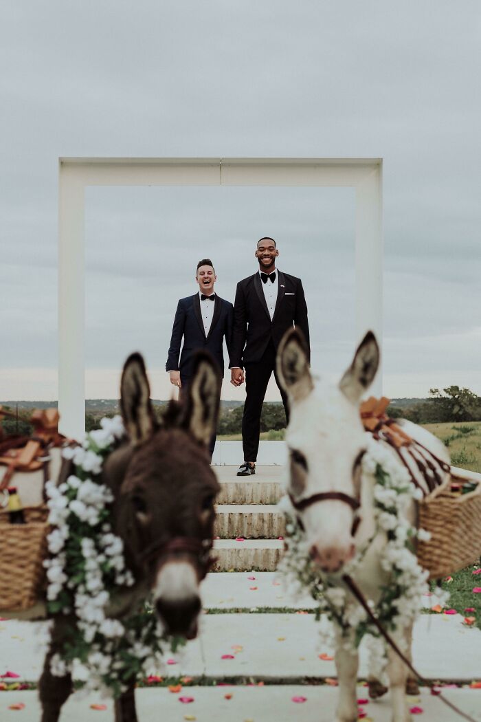 Our Wedding's Beer Burros Wanted To Be A Part Of The Picture
