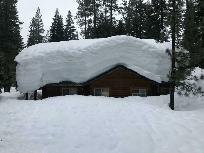 La cabaña de mi hermano (que ahora es su casa en medio de un desagradable divorcio) en el norte de California. Le tomó 8 kilómetros en una moto de nieve hasta encontrar esto después de salir de la ciudad durante una semana