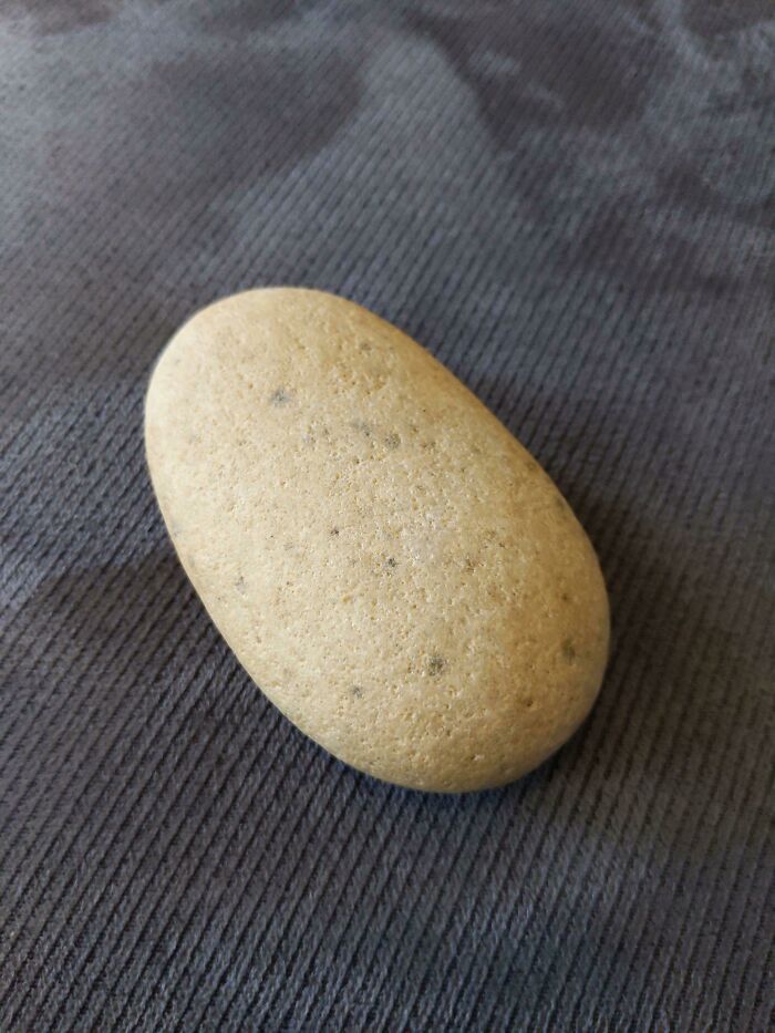 This Rock My Son Found On Our Hike Looks Like A Potato