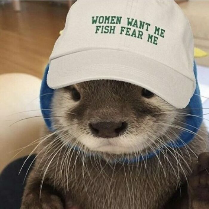 I Found This Otterly Adorable