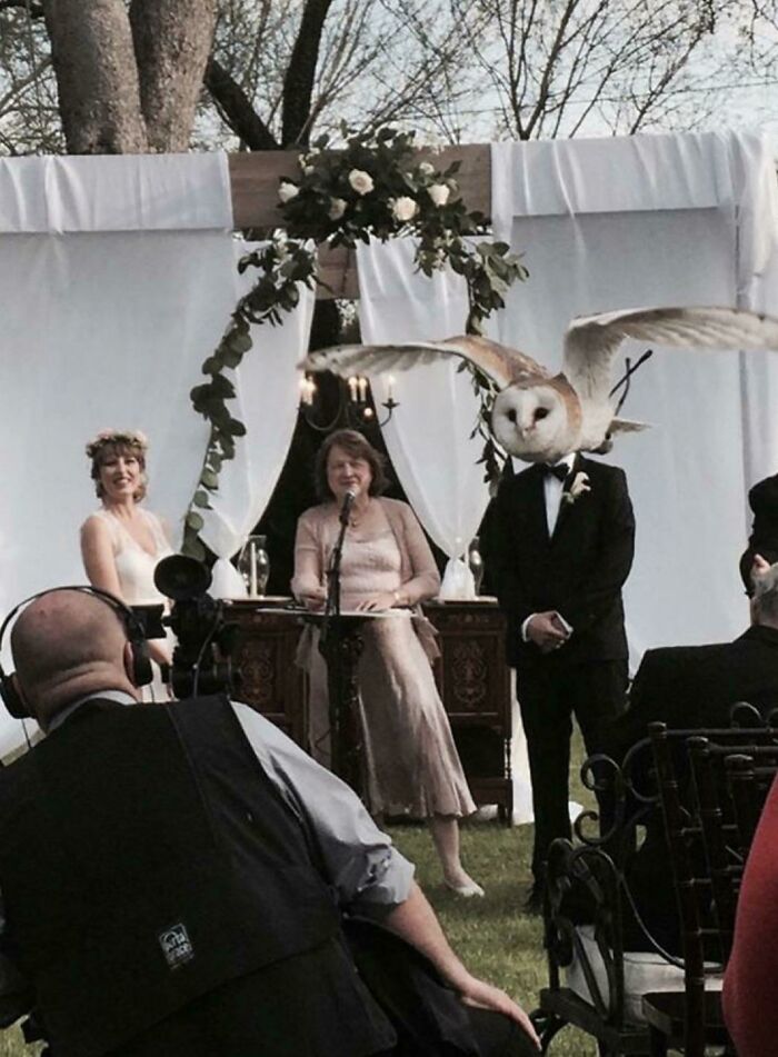 This Wedding Photo Shows An Unexpected Visitor During The Ceremony, But It Was Worth It