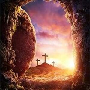 teddytiger_01 avatar