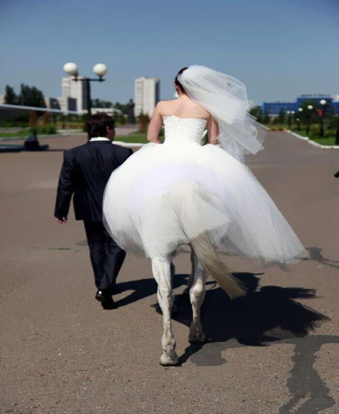 What A Shame The Poor Groom's Bride Is A Horse