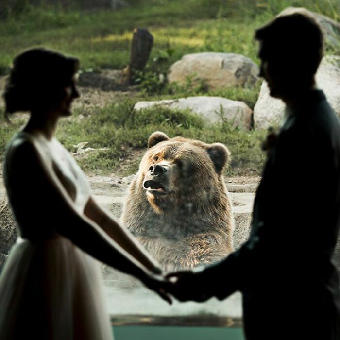 So We Got Married At The Zoo, And This Bear Had An Interesting First Look Reaction