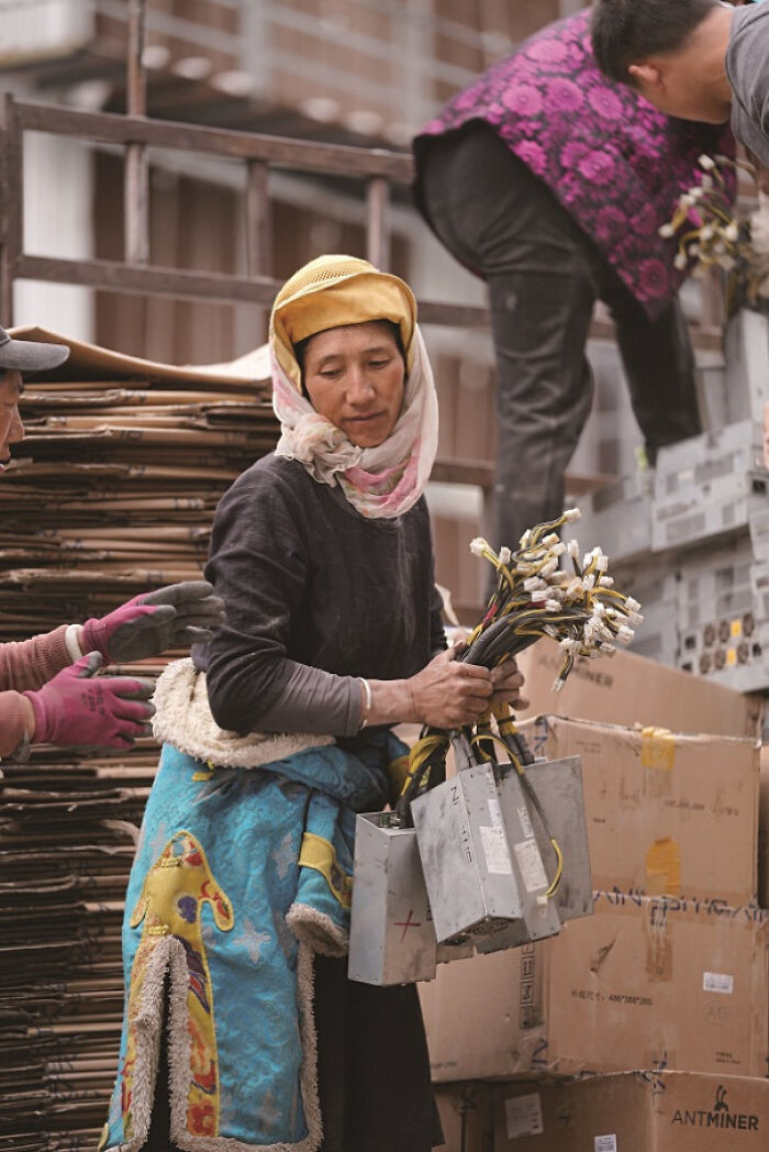 Tibetan Woman Holding Bitcoin Mining Psus