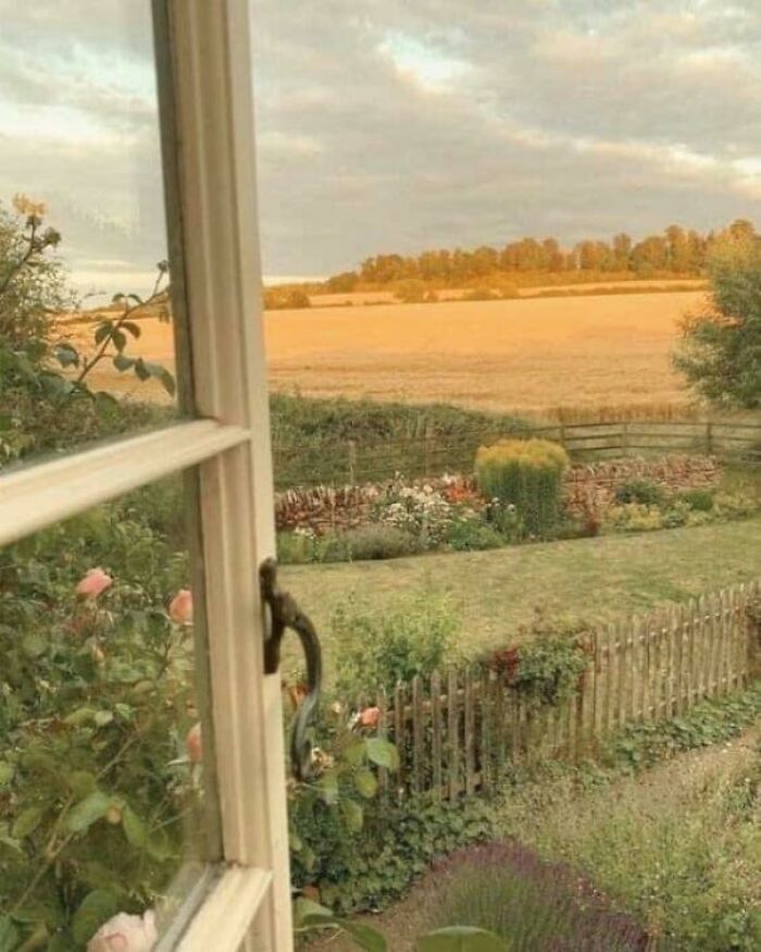 Window To An Open Meadow