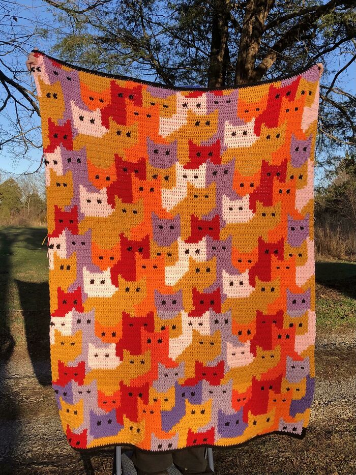 Fiiiinally Finished This Sunset-Colored Cat Blanket!