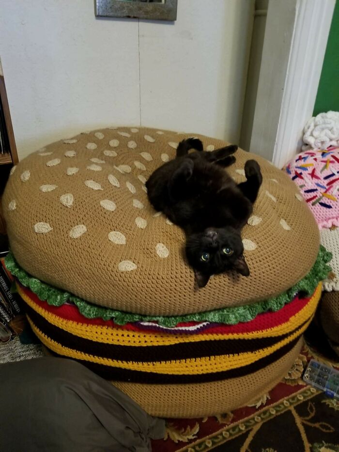 I Crocheted A Cheeseburger And My Cat Loves It So Much