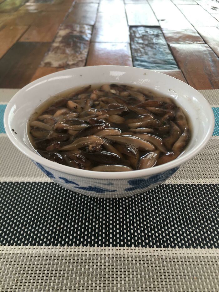 Forbidden Mushroom Soup (Slugs Attracted With A Bowl Of Beer Overnight)