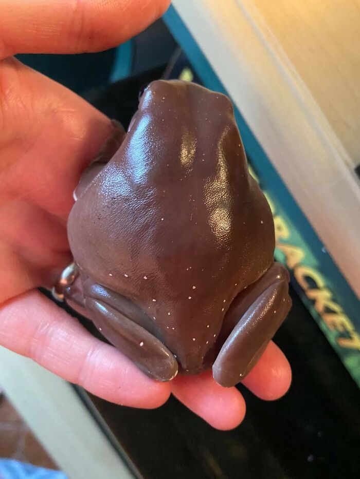 Forbidden Chocolate Frog