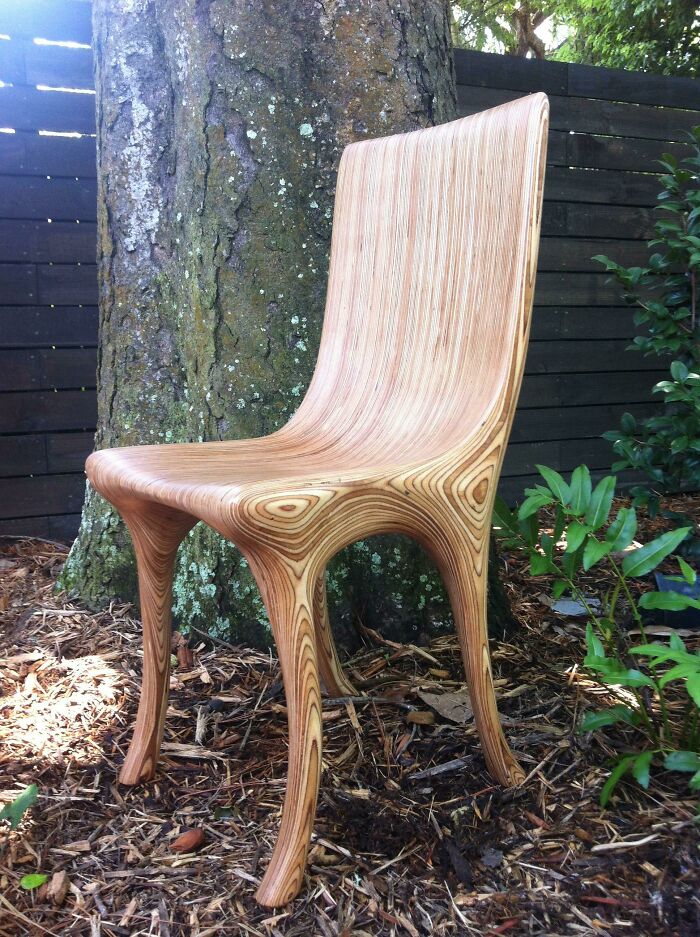 This Dining Chair