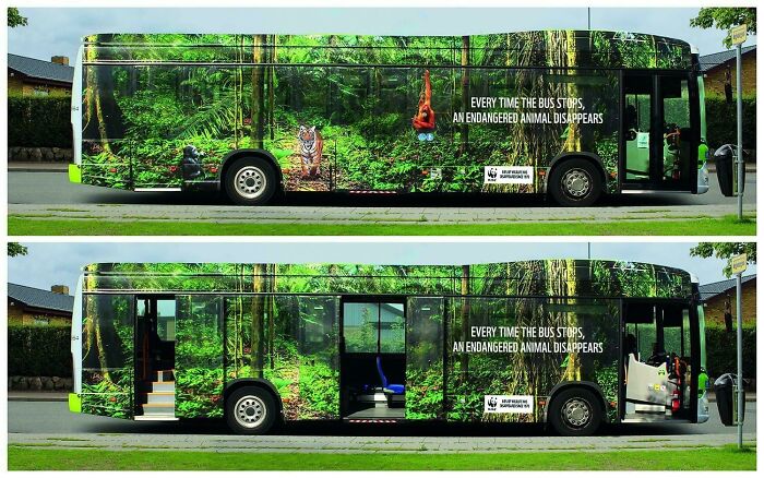 Every Time This Bus Stops, An Endangered Animal Disappears