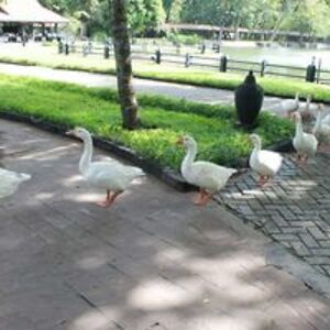 narang_prabhjot avatar