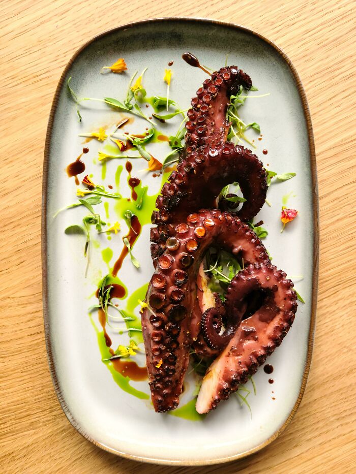 Sous Vide Octopus With Cilantro Microgreens Drizzled With Cilantro-Mint-Parsley Oil And Aged Balsamic Vinegar