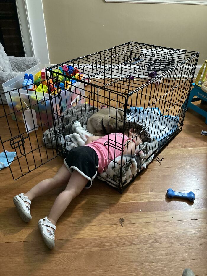 Adopted Our First Family Puppy Today. Found My 2 Year Old And Puppy Like This Day 1 - I Think We Found A Winner